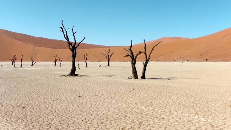 Im Deadvlei